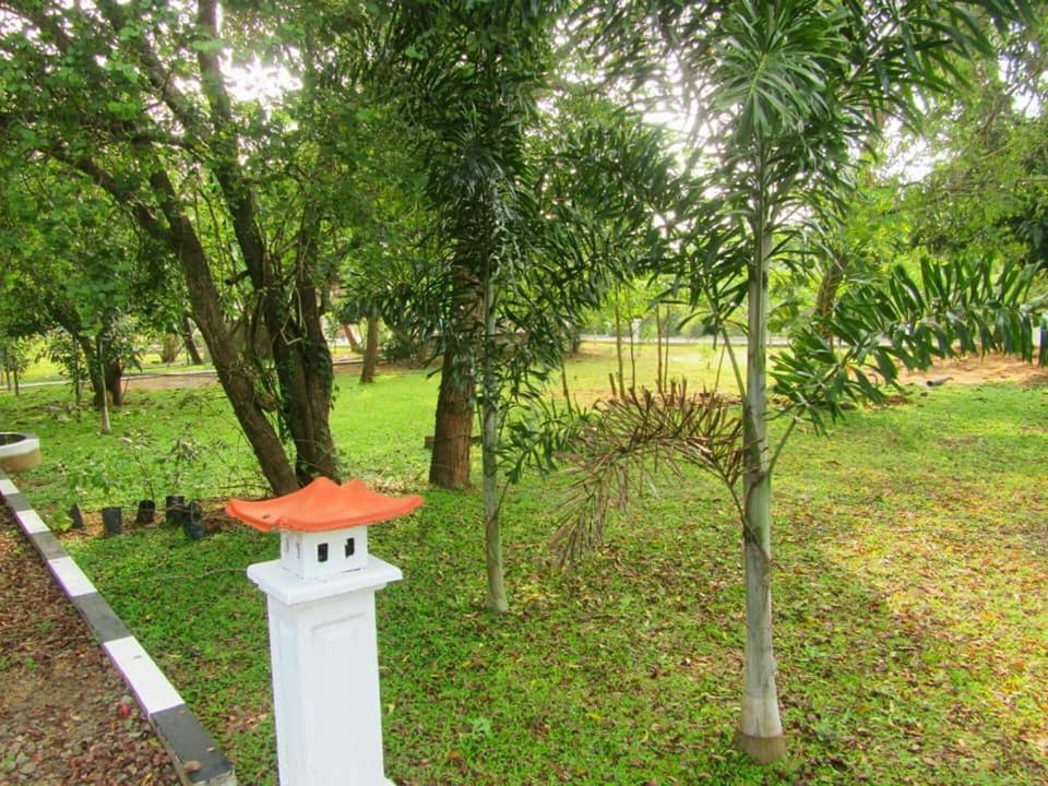 Hotel Tree Garden Wilpaththu Nochchiyagma Anuradhapura Nochchiyagama Екстер'єр фото