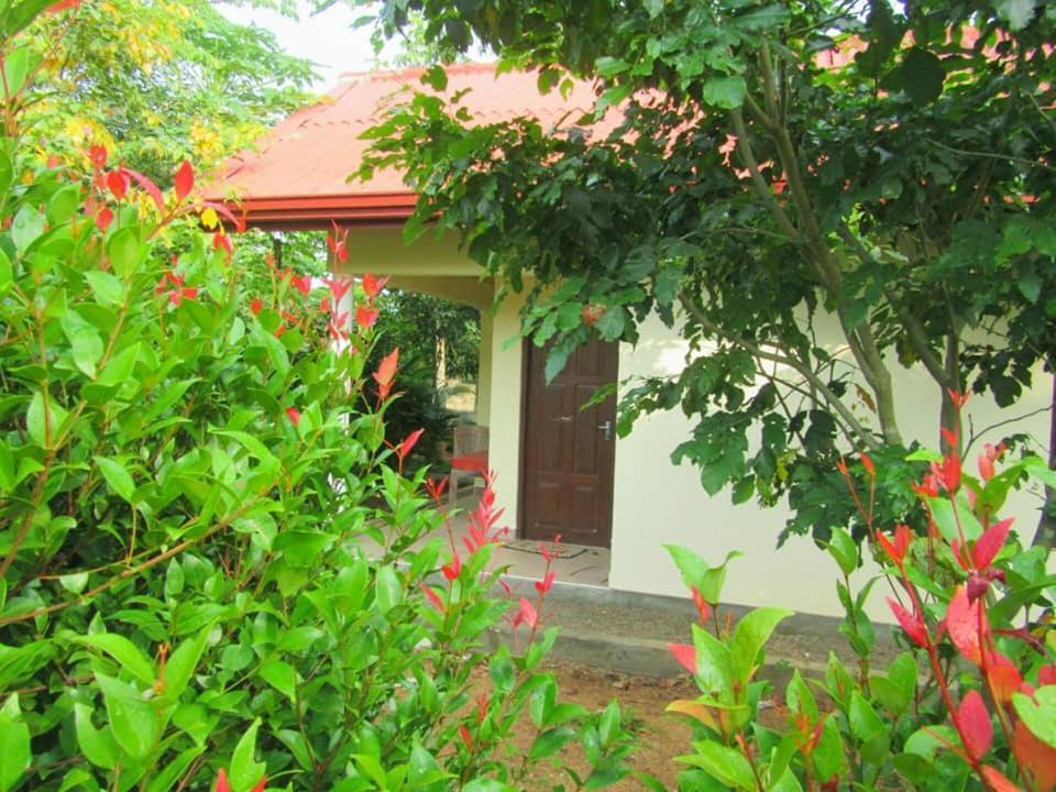 Hotel Tree Garden Wilpaththu Nochchiyagma Anuradhapura Nochchiyagama Екстер'єр фото