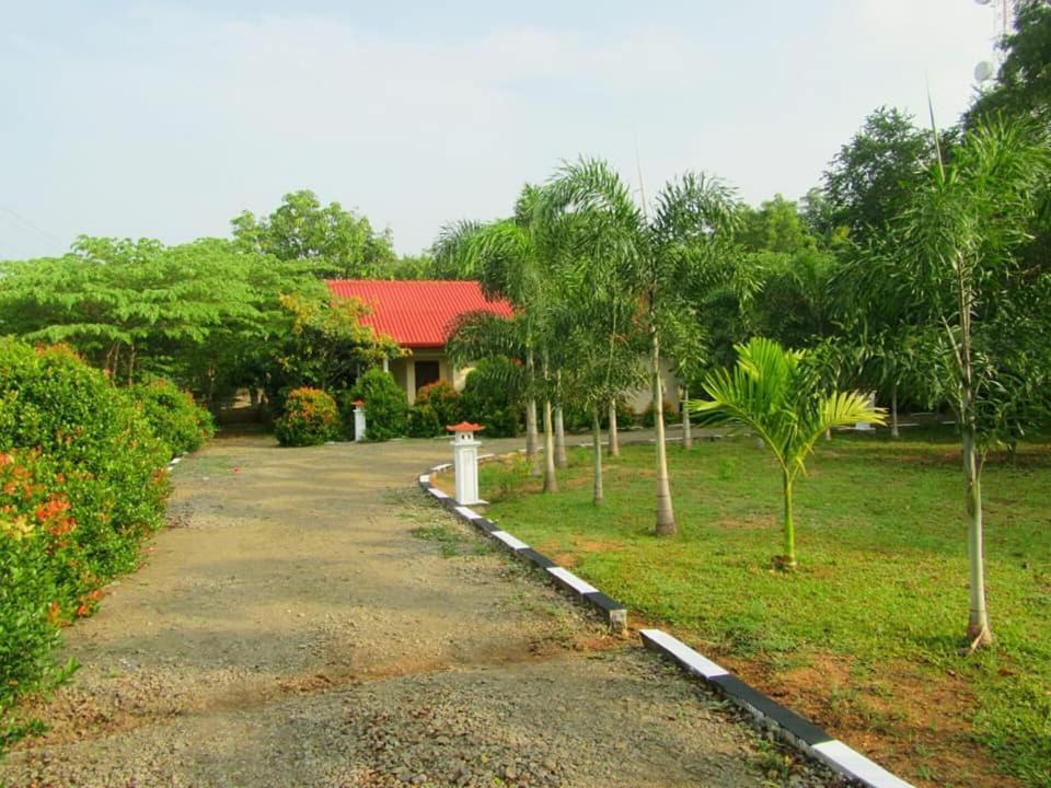 Hotel Tree Garden Wilpaththu Nochchiyagma Anuradhapura Nochchiyagama Екстер'єр фото
