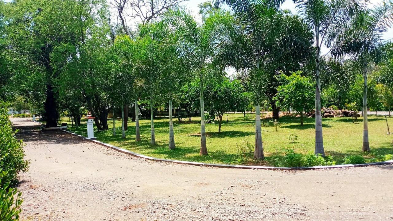 Hotel Tree Garden Wilpaththu Nochchiyagma Anuradhapura Nochchiyagama Екстер'єр фото