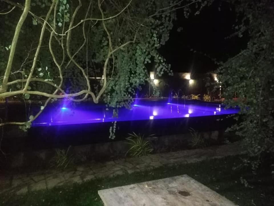 Hotel Tree Garden Wilpaththu Nochchiyagma Anuradhapura Nochchiyagama Екстер'єр фото