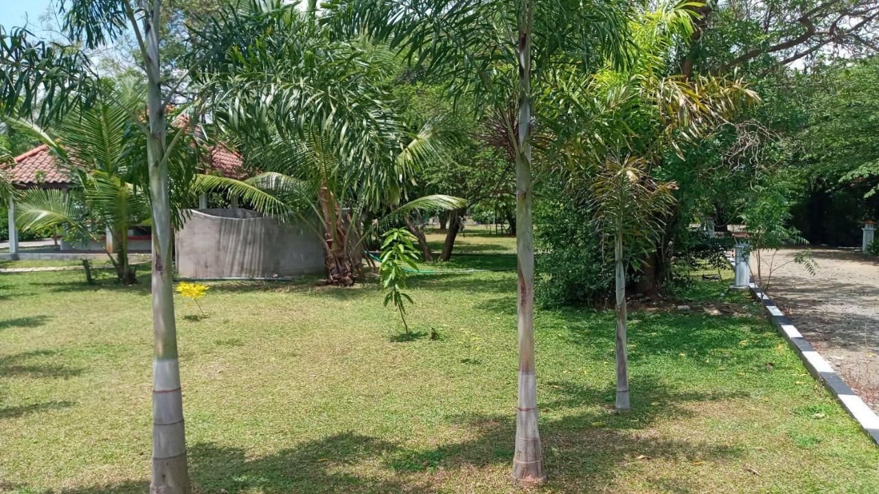 Hotel Tree Garden Wilpaththu Nochchiyagma Anuradhapura Nochchiyagama Екстер'єр фото