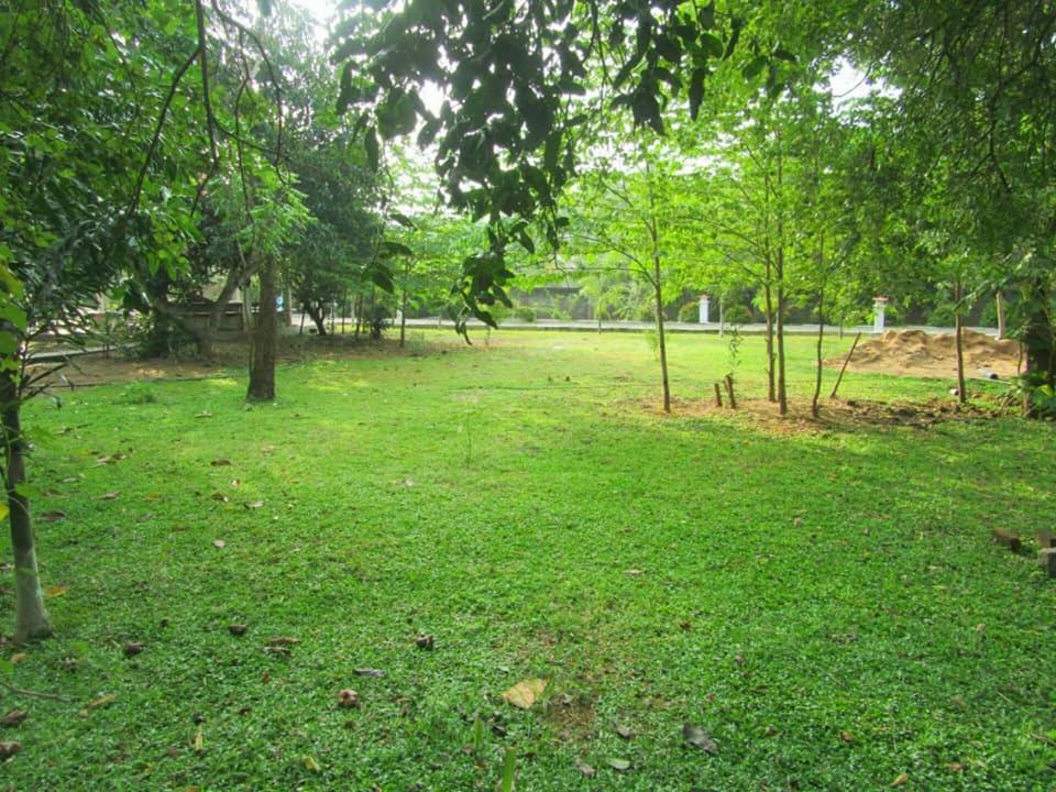 Hotel Tree Garden Wilpaththu Nochchiyagma Anuradhapura Nochchiyagama Екстер'єр фото