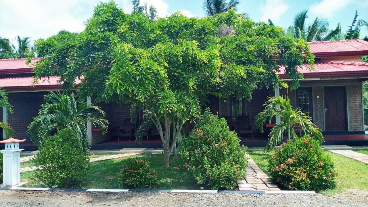 Hotel Tree Garden Wilpaththu Nochchiyagma Anuradhapura Nochchiyagama Екстер'єр фото