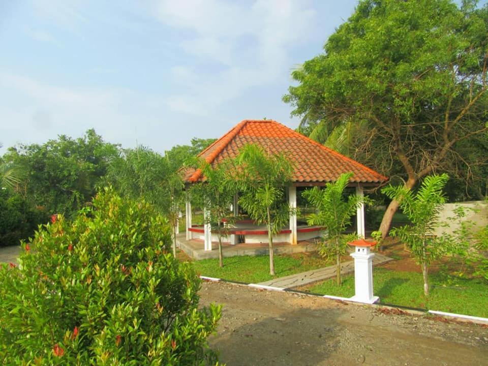 Hotel Tree Garden Wilpaththu Nochchiyagma Anuradhapura Nochchiyagama Екстер'єр фото