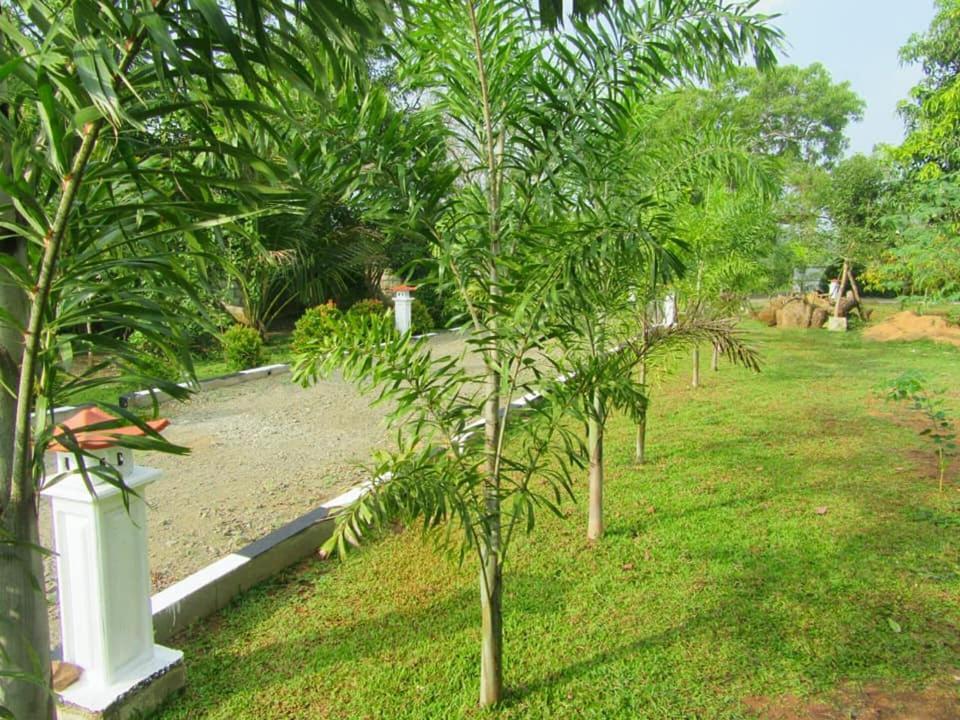 Hotel Tree Garden Wilpaththu Nochchiyagma Anuradhapura Nochchiyagama Екстер'єр фото
