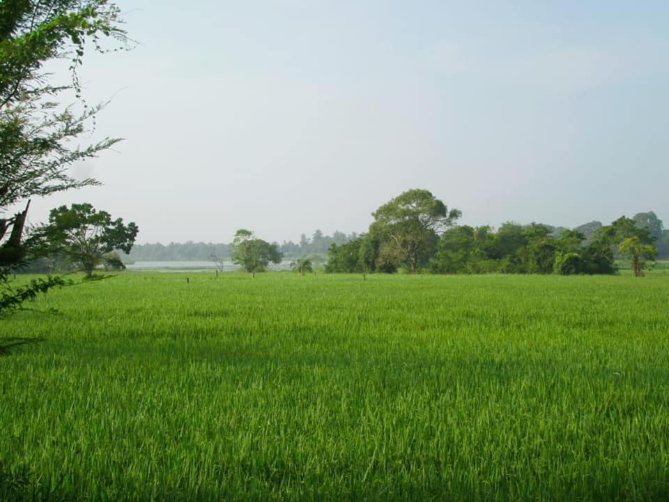 Hotel Tree Garden Wilpaththu Nochchiyagma Anuradhapura Nochchiyagama Екстер'єр фото