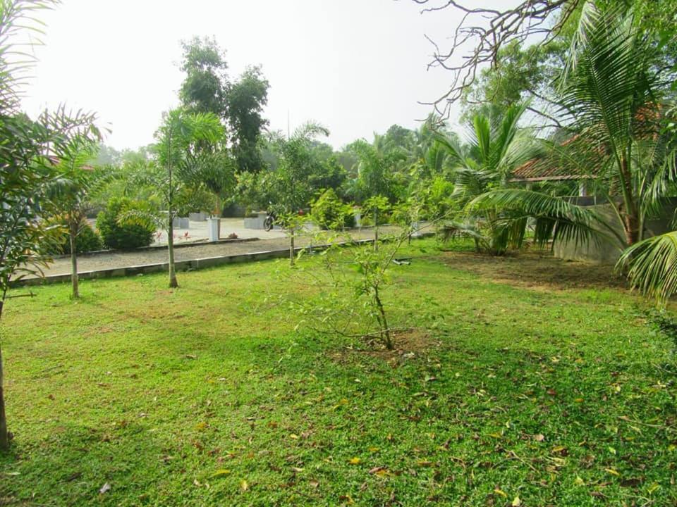 Hotel Tree Garden Wilpaththu Nochchiyagma Anuradhapura Nochchiyagama Екстер'єр фото