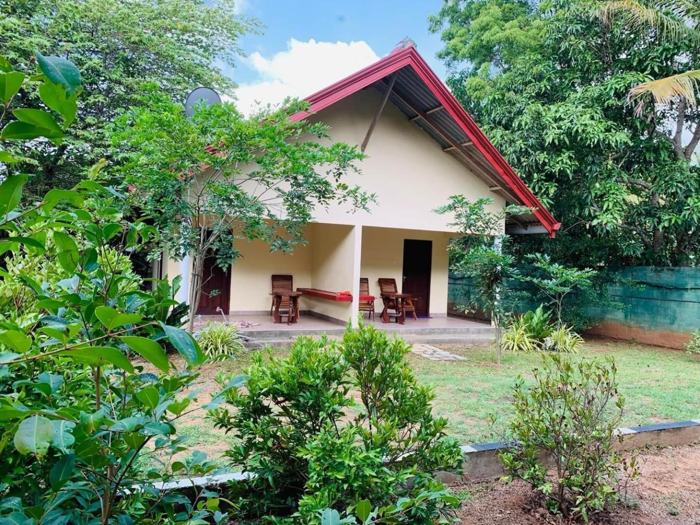 Hotel Tree Garden Wilpaththu Nochchiyagma Anuradhapura Nochchiyagama Екстер'єр фото