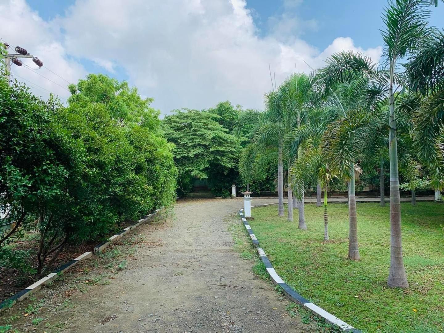 Hotel Tree Garden Wilpaththu Nochchiyagma Anuradhapura Nochchiyagama Екстер'єр фото