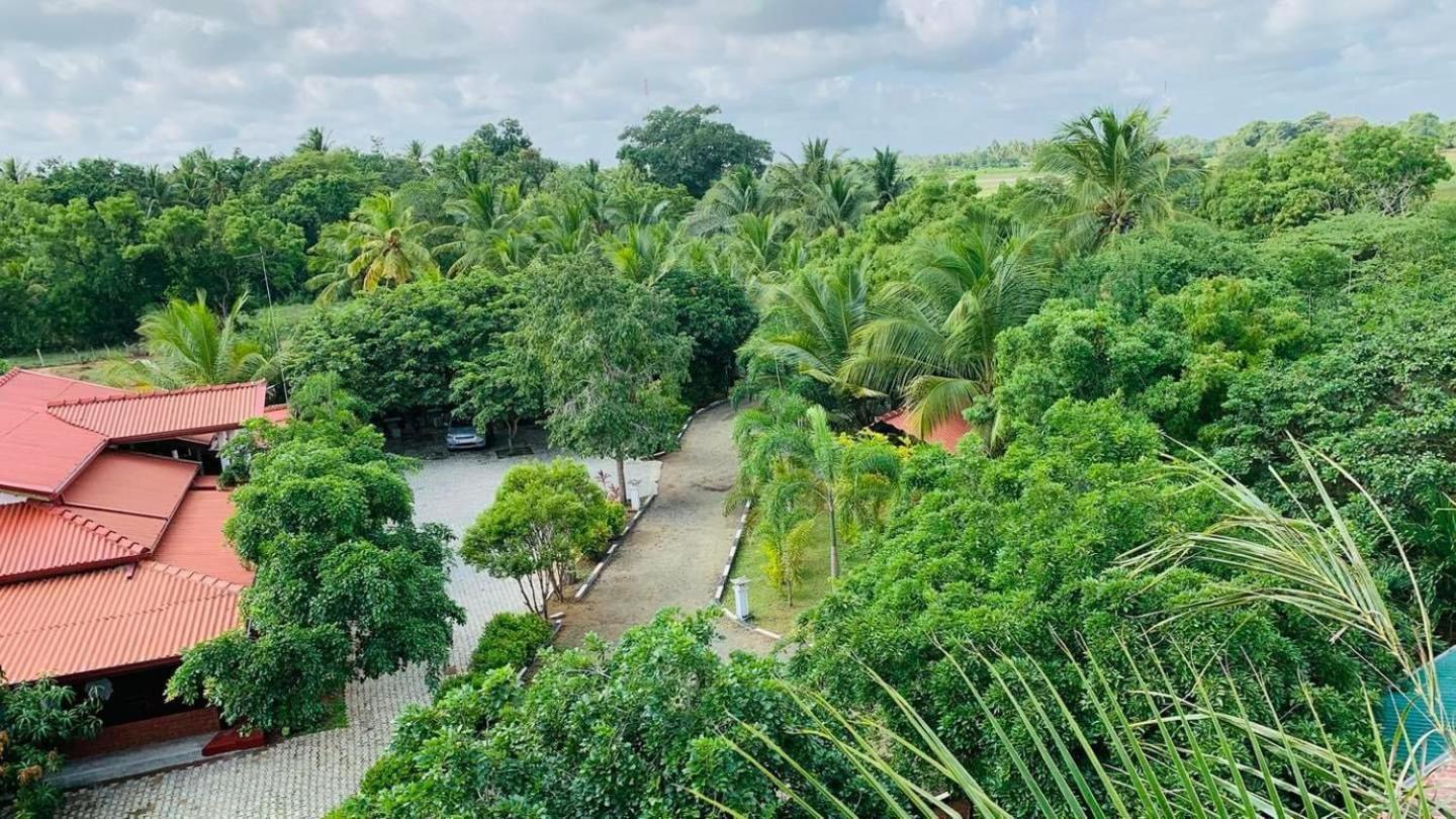 Hotel Tree Garden Wilpaththu Nochchiyagma Anuradhapura Nochchiyagama Екстер'єр фото