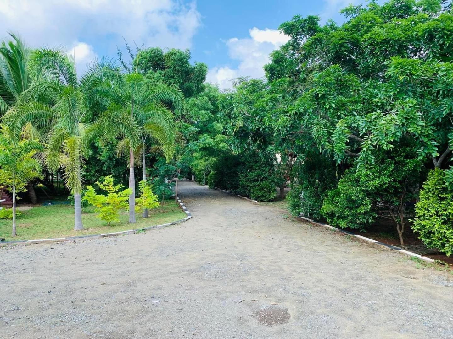 Hotel Tree Garden Wilpaththu Nochchiyagma Anuradhapura Nochchiyagama Екстер'єр фото