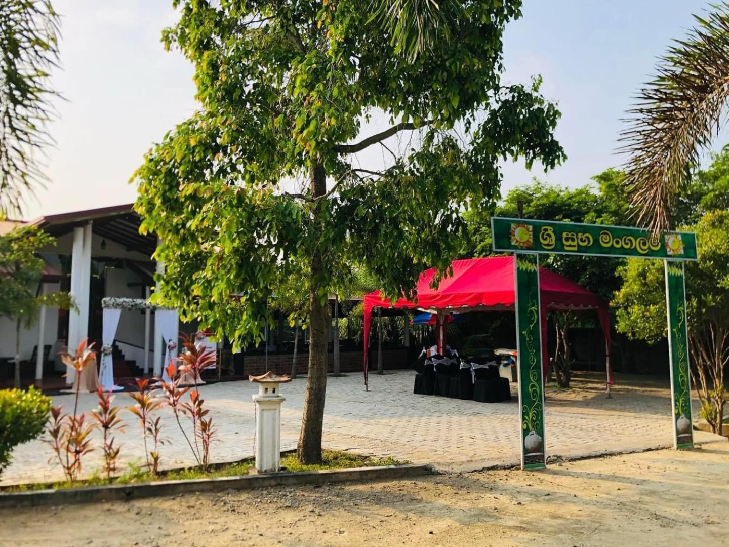 Hotel Tree Garden Wilpaththu Nochchiyagma Anuradhapura Nochchiyagama Екстер'єр фото