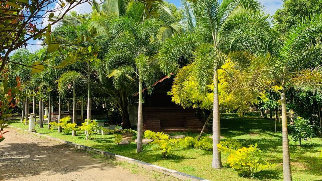 Hotel Tree Garden Wilpaththu Nochchiyagma Anuradhapura Nochchiyagama Екстер'єр фото