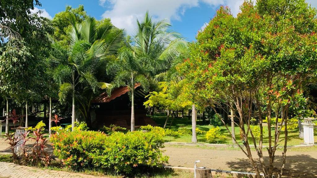 Hotel Tree Garden Wilpaththu Nochchiyagma Anuradhapura Nochchiyagama Екстер'єр фото